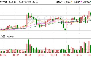 深纺织A：2025年年度归属于上市公司股东的净利润是68418663.02元