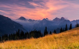 8家头部上市保司2025银保渠道大爆发？国寿趸交撑场、太保续期亮眼、人保寿期交增速领跑同业