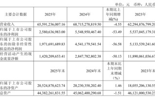 “非洲手机之王”传音控股，净利润同比下滑超五成