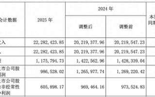 长城汽车去年营收2228亿元创新高，净利近百亿元下滑两成