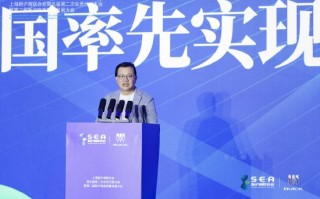 嘉御资本卫哲：AI发展的胜负手在于“用得起”