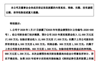 “保壳”关键期，002569控股股东筹划易主