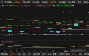英集芯虚假陈述案索赔窗口开启：1月6日买入、1月7日后卖出或持有的投资者可参与
