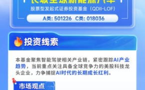 同类排名Top10！长城全球新能源车QDII放开限购