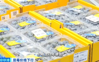 视频|降价超30%！蓝莓价格“跳水”