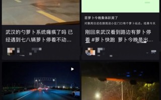 武汉萝卜快跑集体“瘫痪”？有乘客被困高架近两小时，交警通报