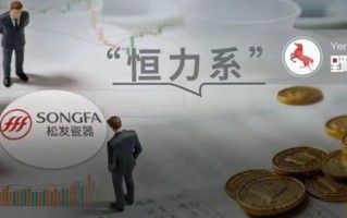 “恒力系”再融资70亿！“江苏首富”家族如何盘活千亿*ST松发？
