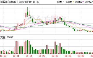 宣亚国际：公司无逾期对外担保