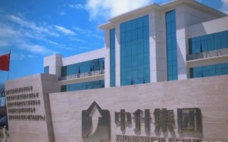 突发！上市公司薪酬1058万的德勤背景CFO调任财务总监！