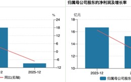 “中药一哥”交十年最惨财报：Q4净利暴跌9成，库存激增，老字号真卖不动了？
