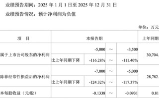 上市五载首陷亏损，重要股东减持，宇新股份产业转型遇阻