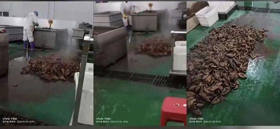 “鹿哈”或需赔偿26.9亿元，曾自曝7个月赚了3500万  第3张