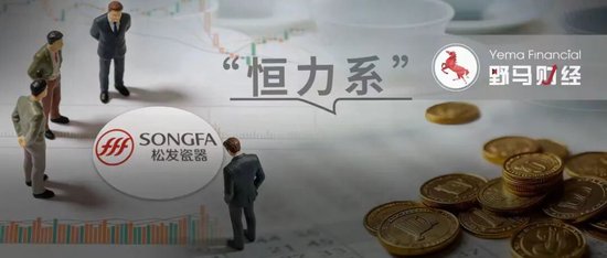 “恒力系”再融资70亿！“江苏首富	”家族如何盘活千亿*ST松发？  第1张