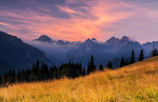 8家头部上市保司2025银保渠道大爆发？国寿趸交撑场	、太保续期亮眼、人保寿期交增速领跑同业  第1张