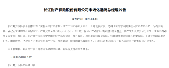 长江财险市场化选聘总经理 第1张 长江财险市场化选聘总经理 第1张